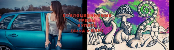 хмурый Белоозёрский