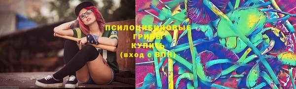 соль курить ск Алзамай