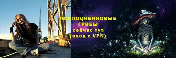 хмурый Белоозёрский