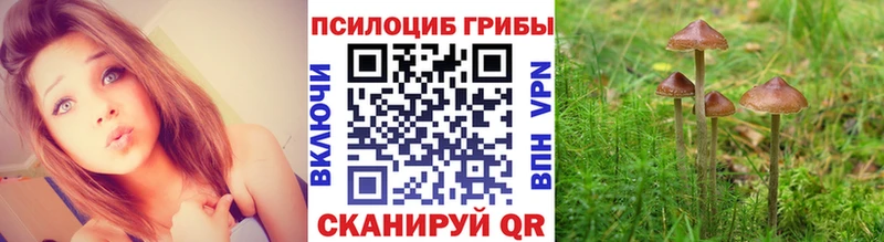 где можно купить   Нея  Галлюциногенные грибы ЛСД 